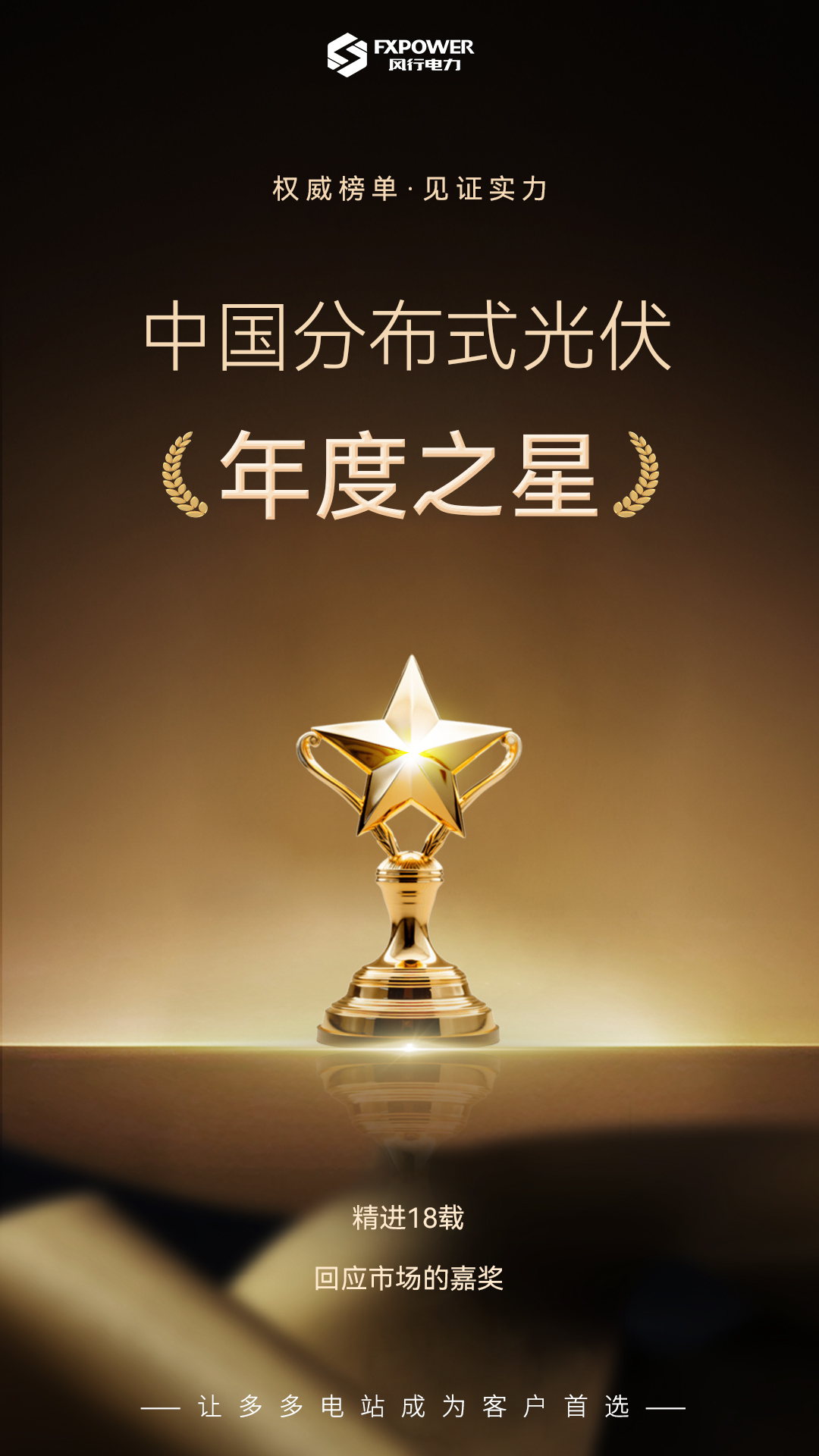 “中国分布式光伏年度之星”，风行电力再度上榜！